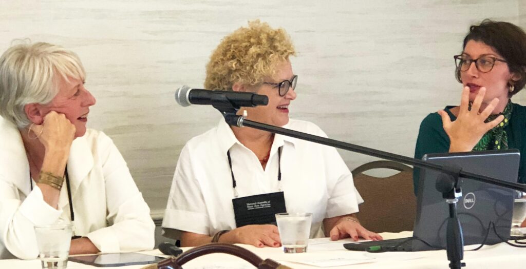 Teresa Bonner, Maura O'Malley and Diana Champa are pictured sitting at a conference table talking to one another.