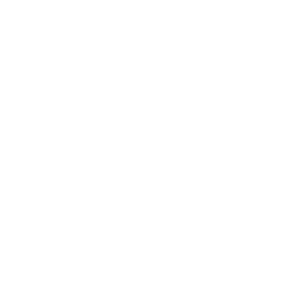 Icon of a magnifying glass.