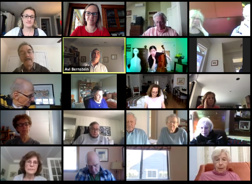 A screenshot of older adults during a live interactive zoom performance.